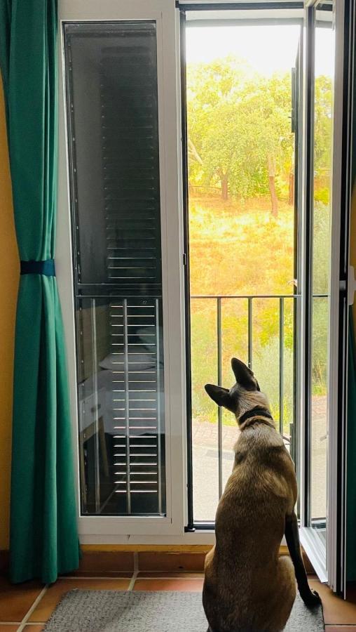 Casa Rural Una Ventana A La Montana 아레세나 외부 사진